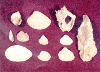 �o�y�����L