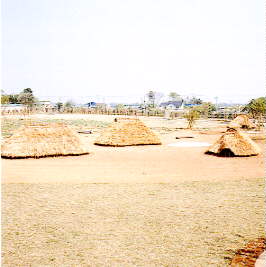 �W���]�[��