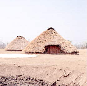 �����Z��