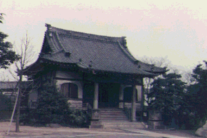 No.06