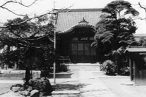 No.11