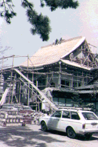 No.16