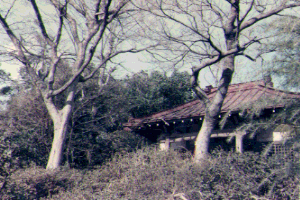 No.23