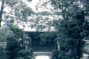 No.25