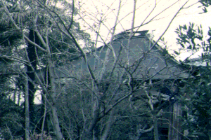 No.28