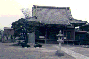 No.29