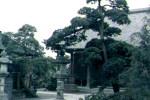 No.30