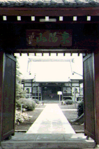 No.35