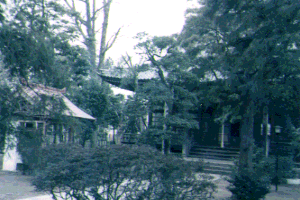 No.43