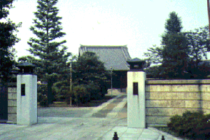 No.44