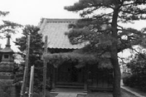 No.45
