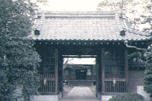 No.46