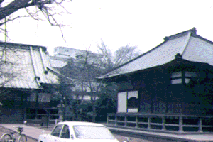 No.51