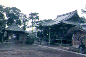 No.53