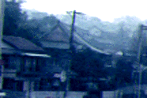 No.81