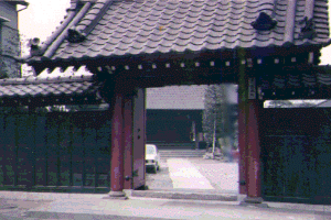 No.85