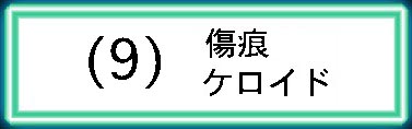 (9)�������ƁE�P���C�h