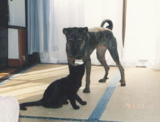 kuma&.jpg (14668 �o�C�g)