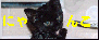 taneba.gif (3561 �o�C�g)