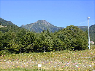 八ヶ岳スキー場より赤岳を望む