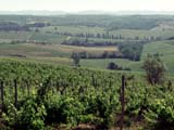 Chianti