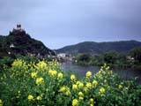 Cochem in spring