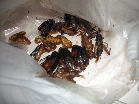 �����荇�킹