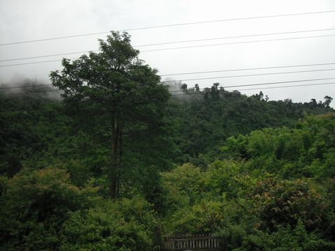 �����Ƃ���ȎR��