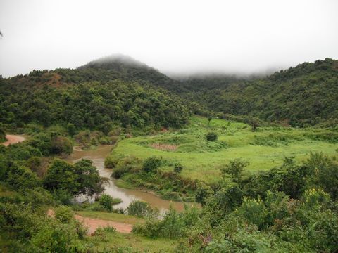 �^�E�e�B�A������̒���