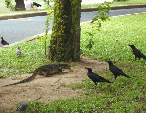 �g�J�Q�ƃJ���X