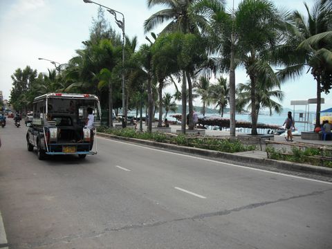 �p�^���r�[�`�Ə�荇���\���e�E