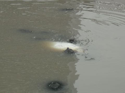 ��̎��[��H���T