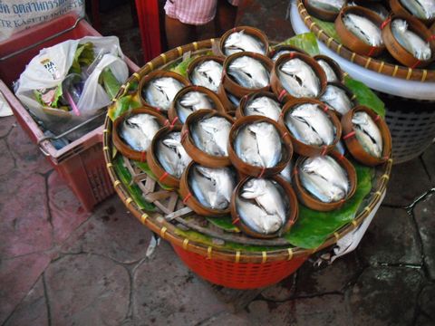 ���̐|�Ђ�?