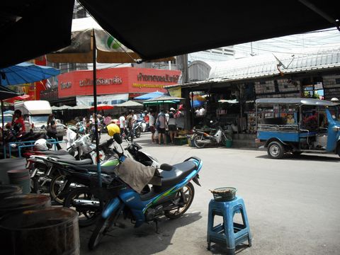 �}�n�`���C�s��