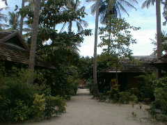 �s�s�v�����Z�X���]�[�g