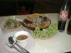 �J�u�g�K�j�i������j