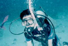 �ǂ��ł��悢�l