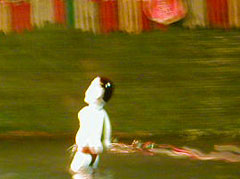 �W���C�A���g�n��Q