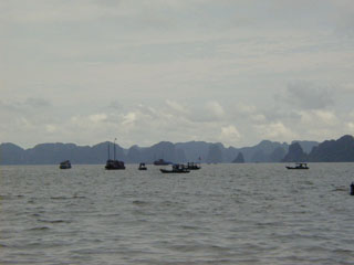 �n�����p