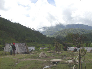 ���������̑�