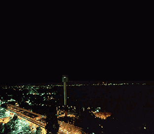 �������̉ԉ�