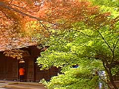 平林寺本堂