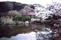 小石川植物園