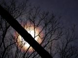 (Cloud) Corona over a Tree