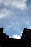 Circumzenithal Arc + Supralateral Arc