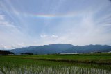 Circumhorizontal Arc