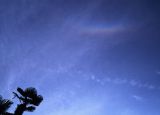 Circumzenithal Arc