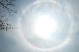 22-degree Halo