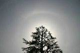 22-degree Halo