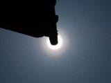 Pollen Corona by a False Acacia